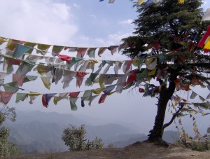 Buddhist prayer flags in Mussoorie, India